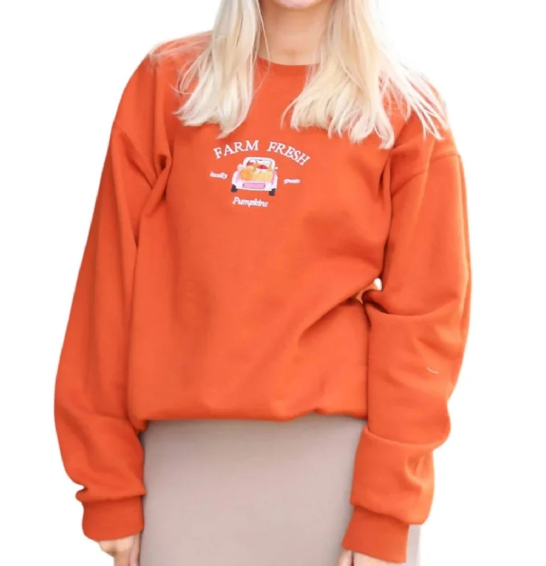 Farm Fresh Pumpkins Crewneck Sweater In Burnt Orange Wool Sweater Cotton Sweater Cashmere Sweater