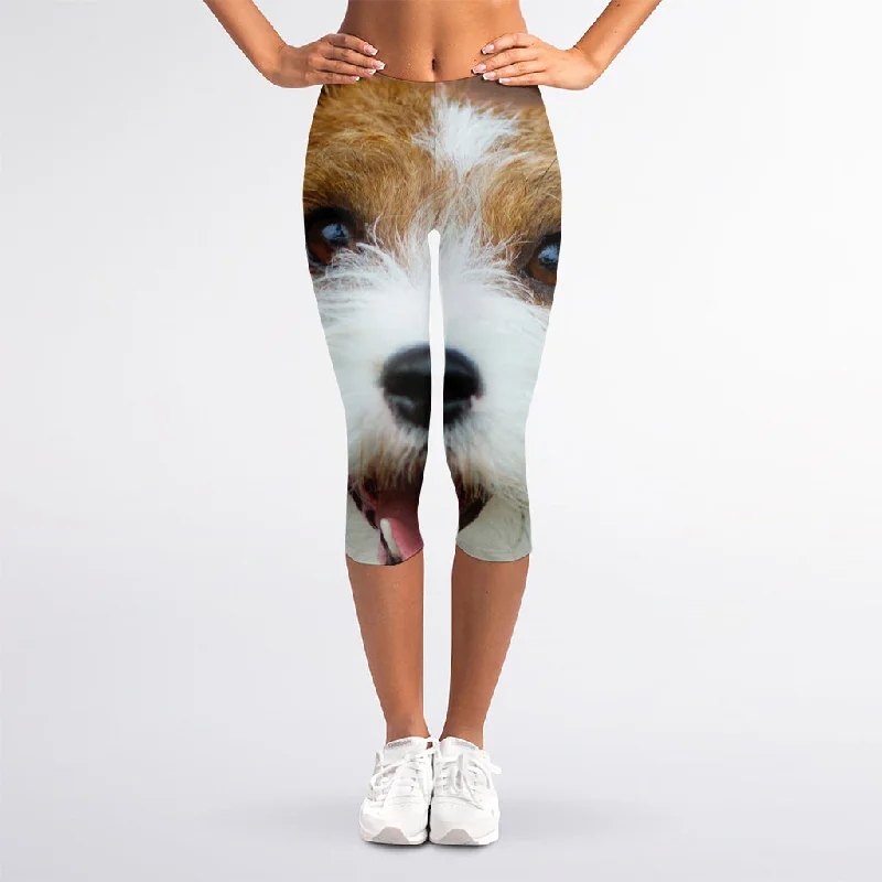 Jack Russell Terrier Portrait Print Women's Capri Leggings Trendy Ombre Effect Leggings